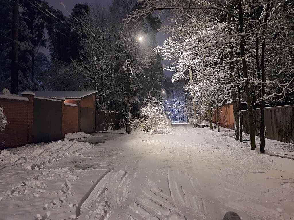 Gardeners' partnerships and societies Pervomaysky poselok, Moscow and Moscow Oblast, photo