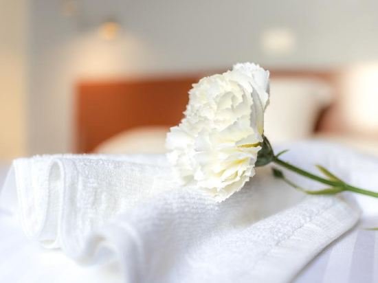 Фото Hotel Blanca Paloma