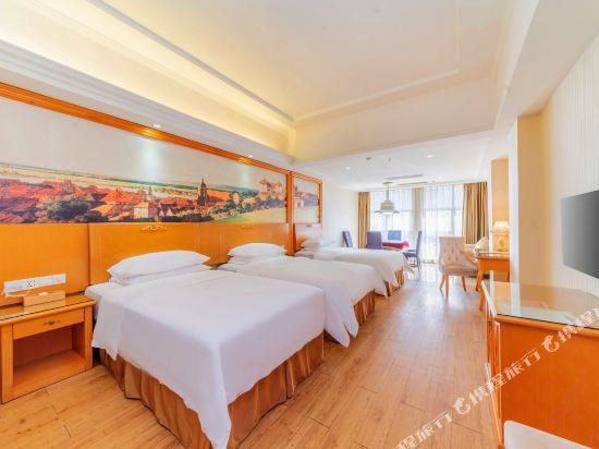 Фото Vienna Hotel