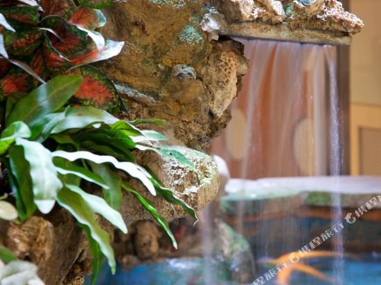 Фото Deja Vu Hotel