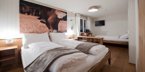 Гостиница Hotel Kaiserstuhl