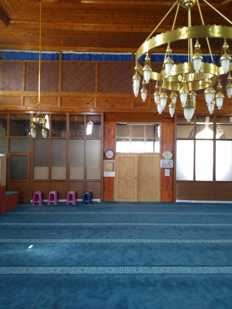 Mosque Cepni Village Grand Mosque, Hocalar, photo