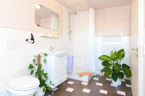 Фото Vila Belaggio Pension