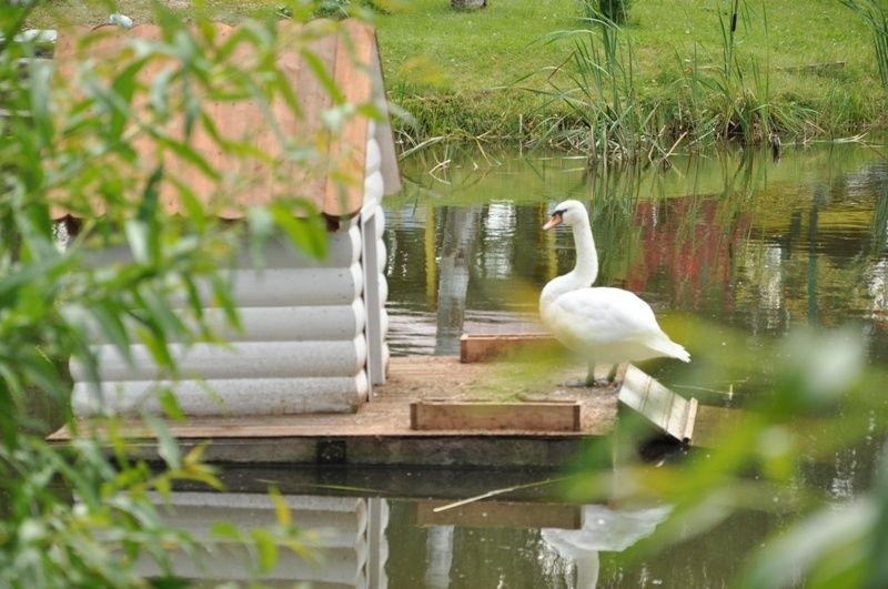 Фото Эко Парк