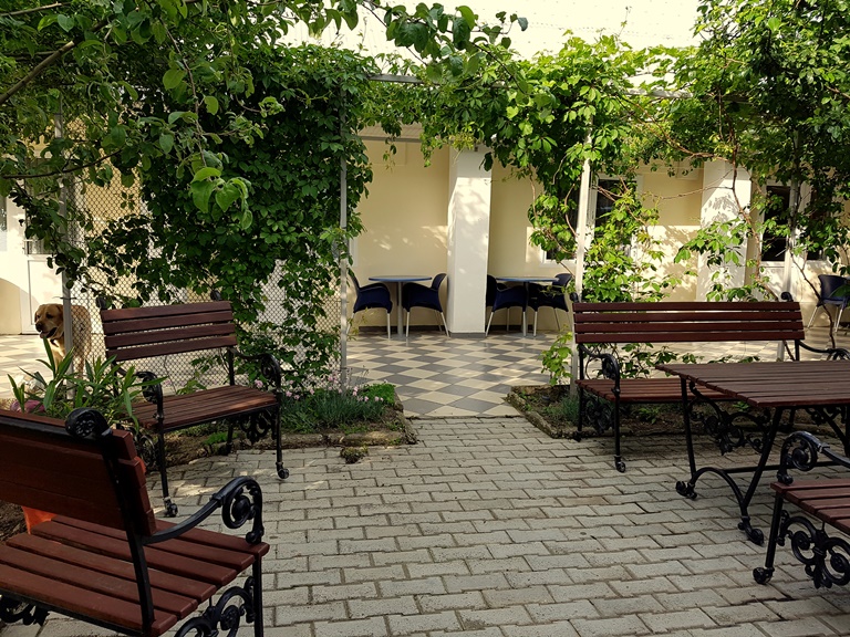 Фото Мохито