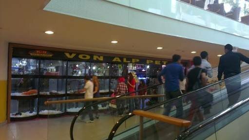 vonalp pet shop petshop ziya gokalp mah suleyman demirel blv no 7f basaksehir istanbul turkiye yandex haritalar