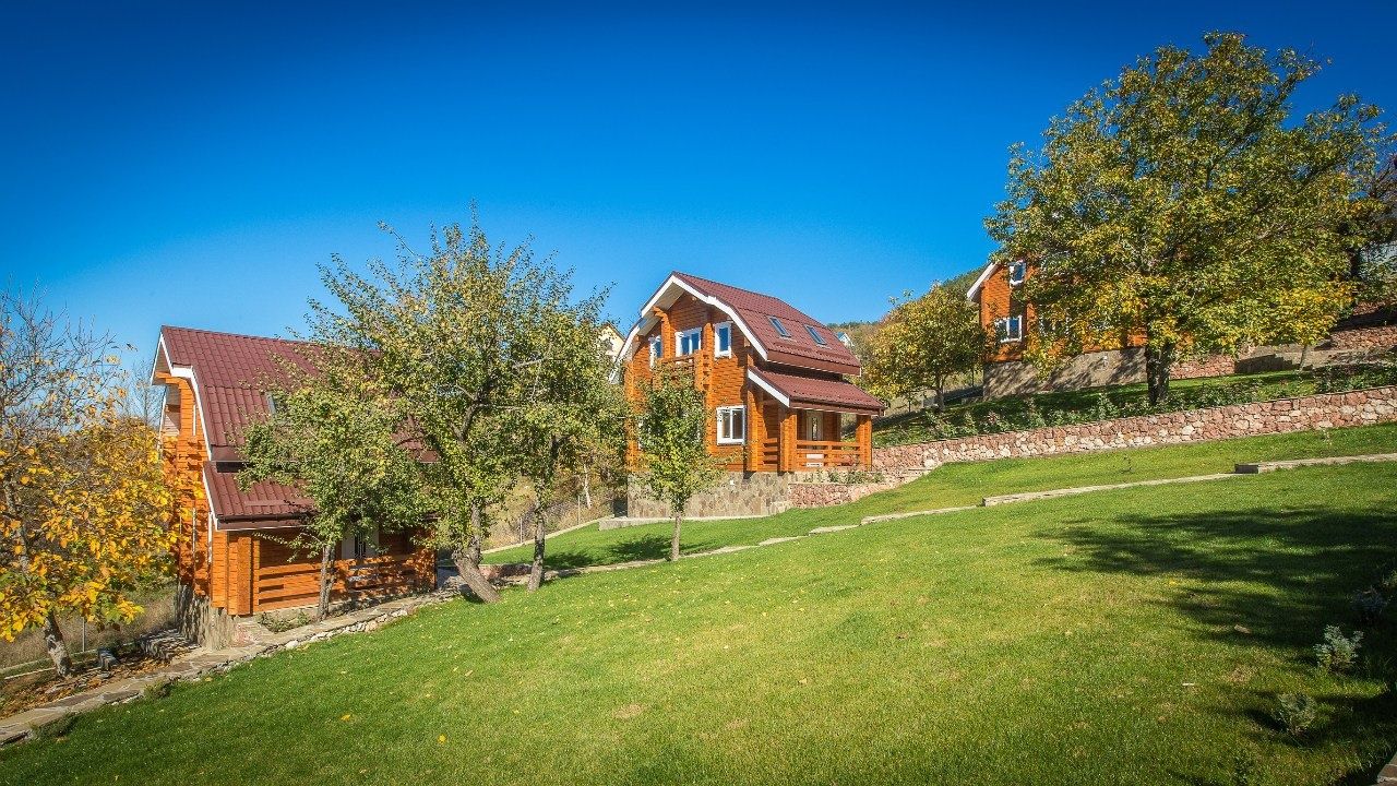 Фото Пальмира