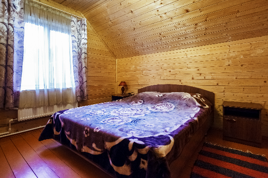 Фото Берёзовая роща