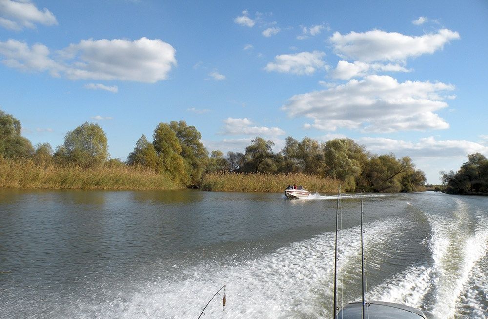 Фото Зеленга