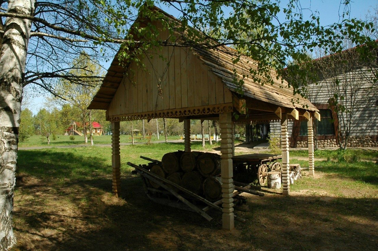 Фото Подсолнухи