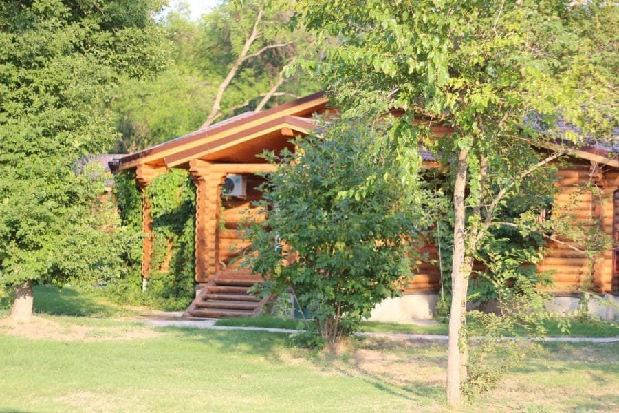 Фото Лесная