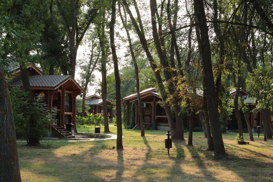 Фото Лесная