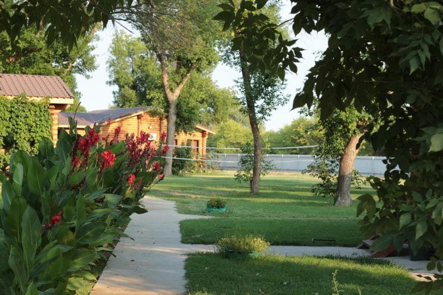 Фото Лесная