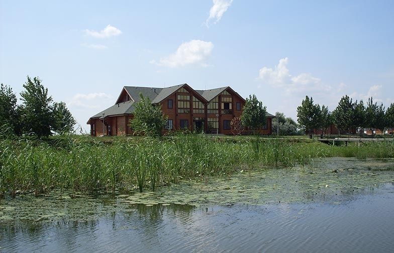 Фото Фортуна