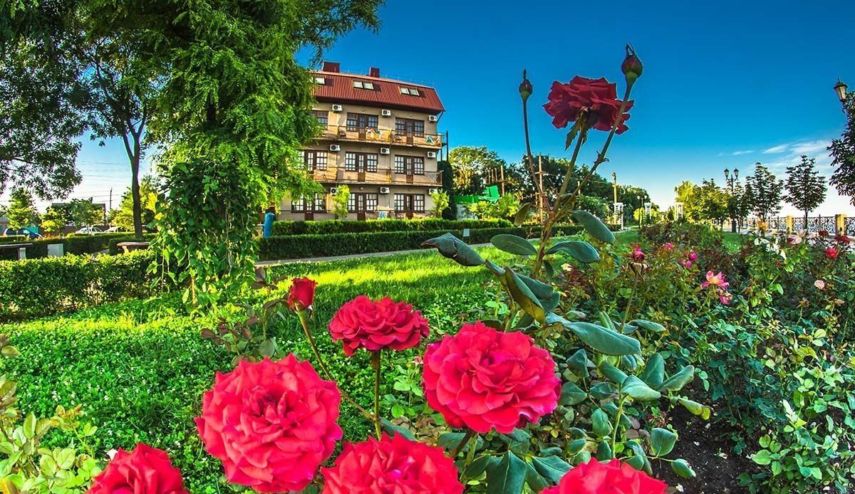 Фото Каменка