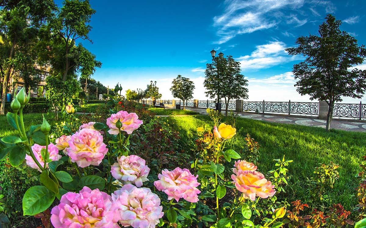 Фото Каменка