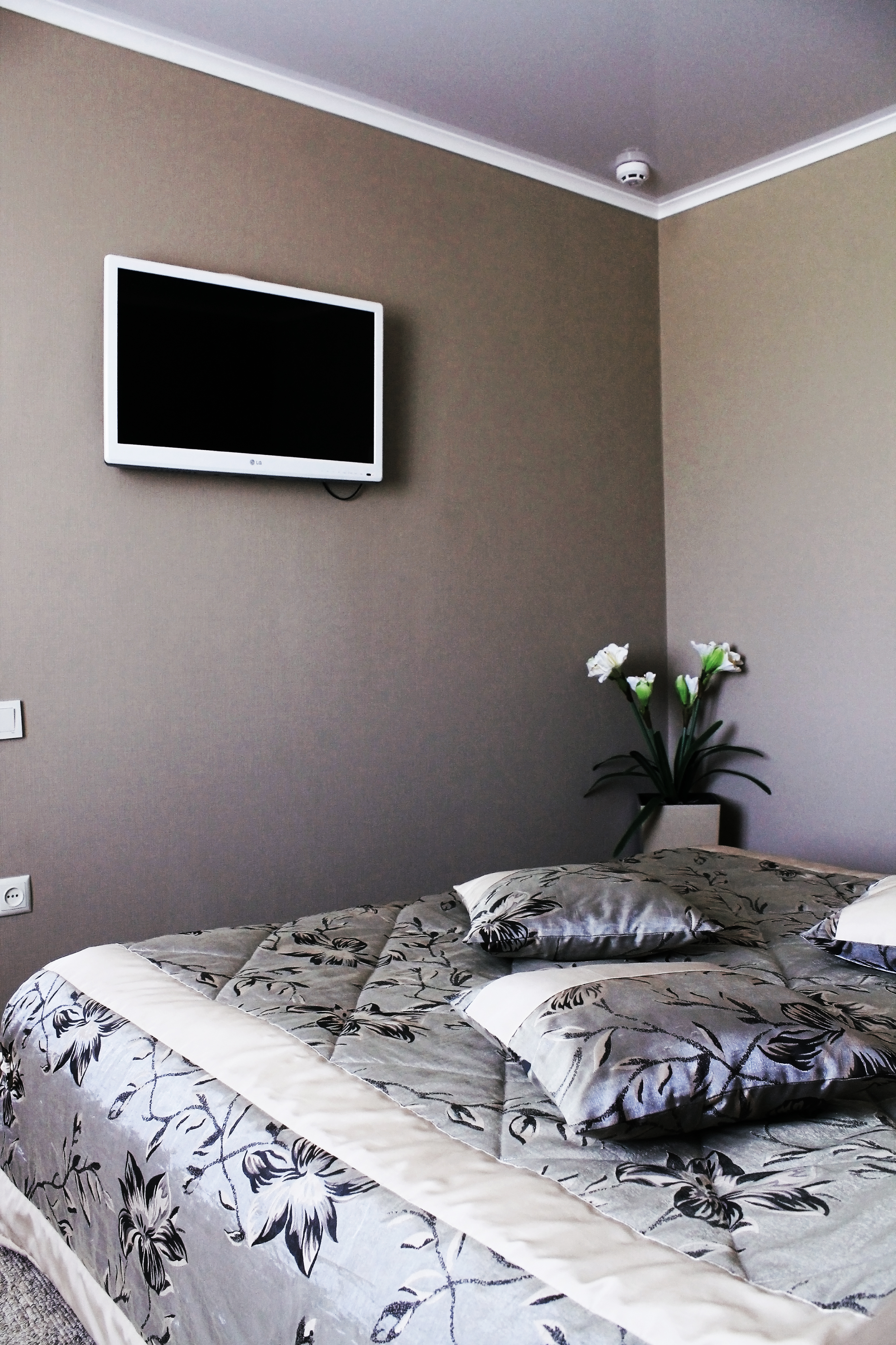 Фото Южная ночь