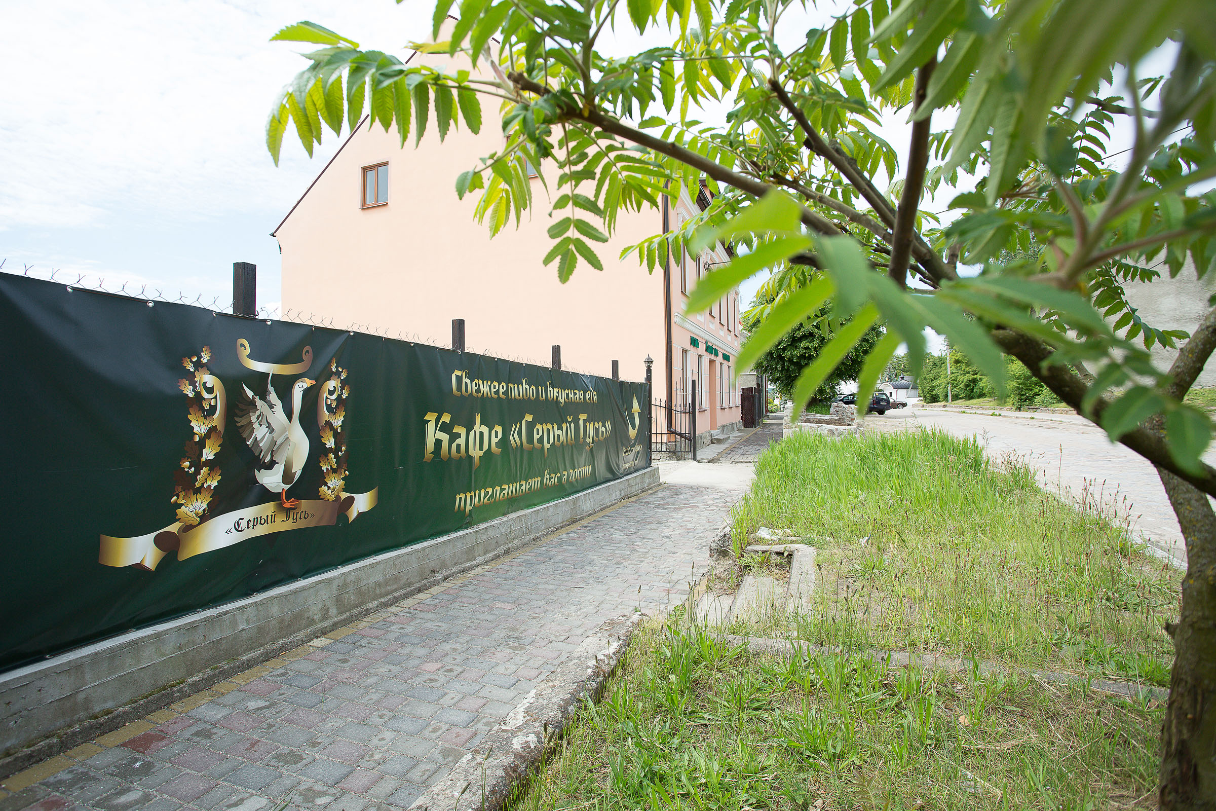 Фото Серый гусь