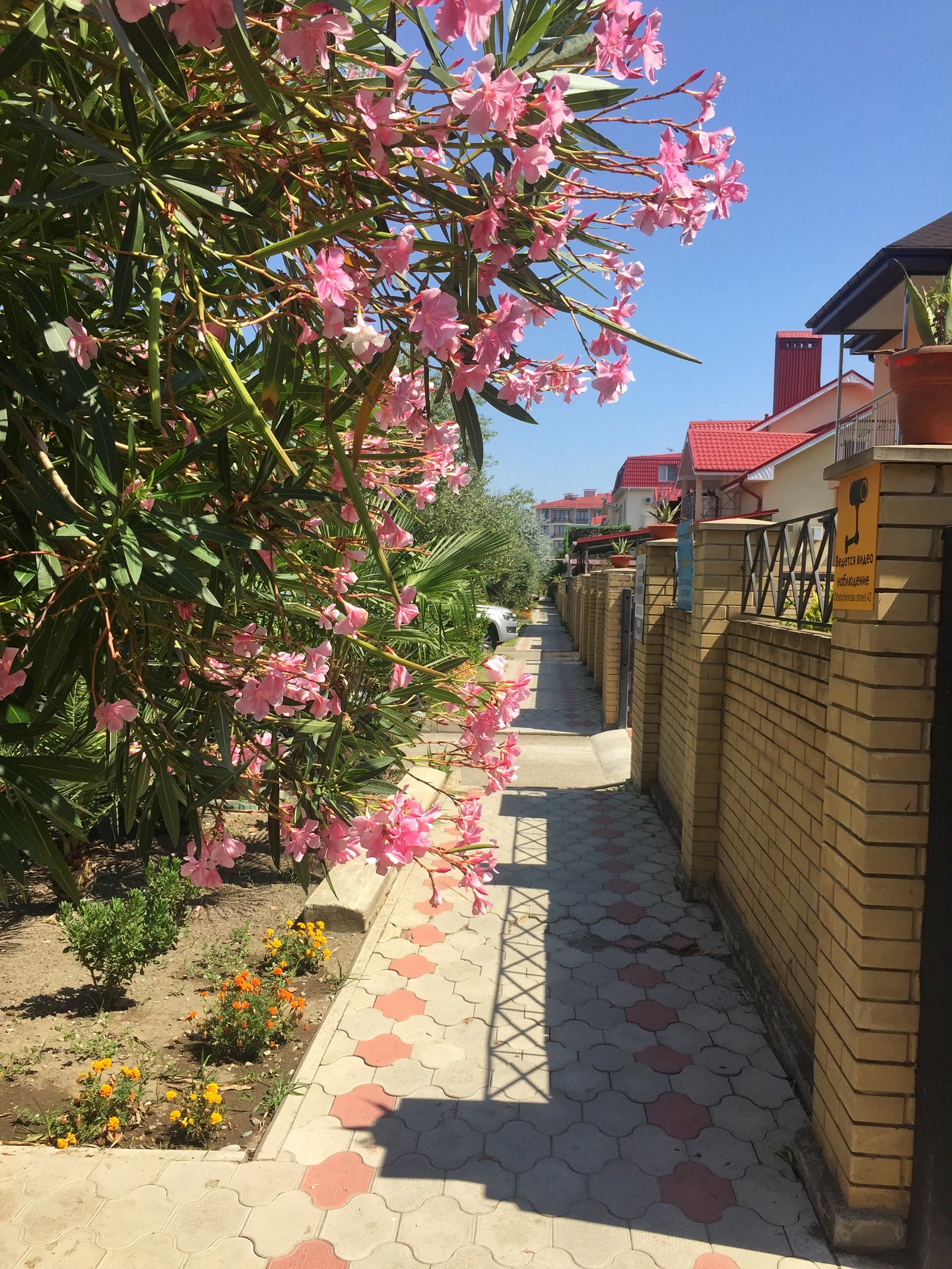 Фото Паруса