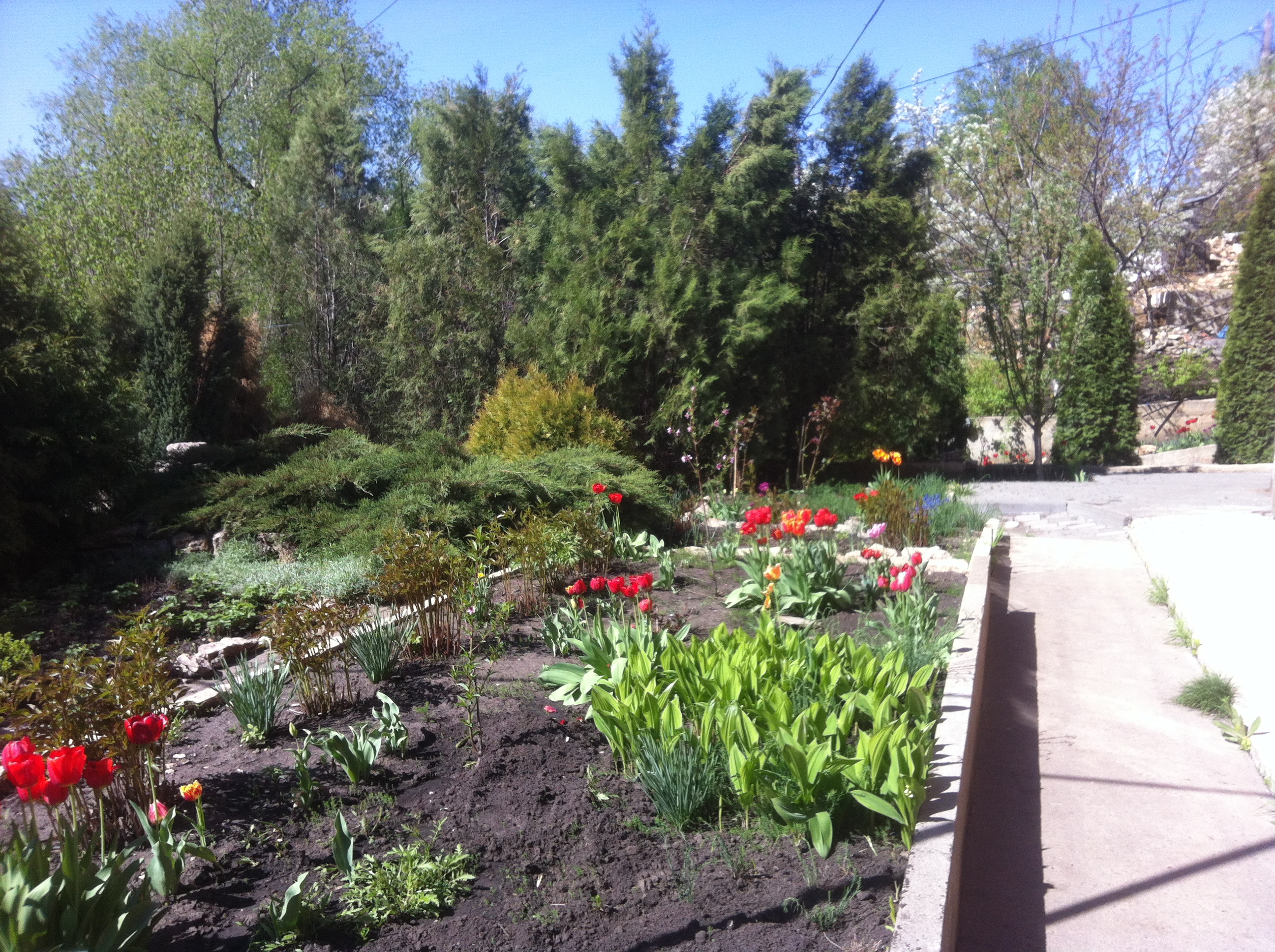 Фото Липовская