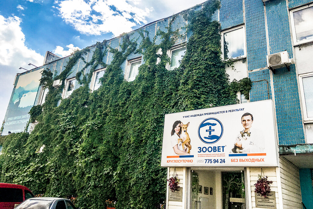 Зоовет 2 я магистральная ул 16 фото Zoovet, veterinary clinic, Россия, Москва, 2-я Магистральная улица, 16, стр. 7 -