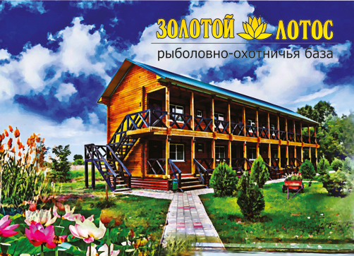 Фото Золотой Лотос