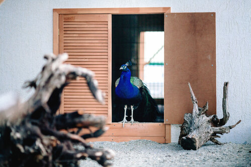 Гостиница Песочная Бухта в Севастополе