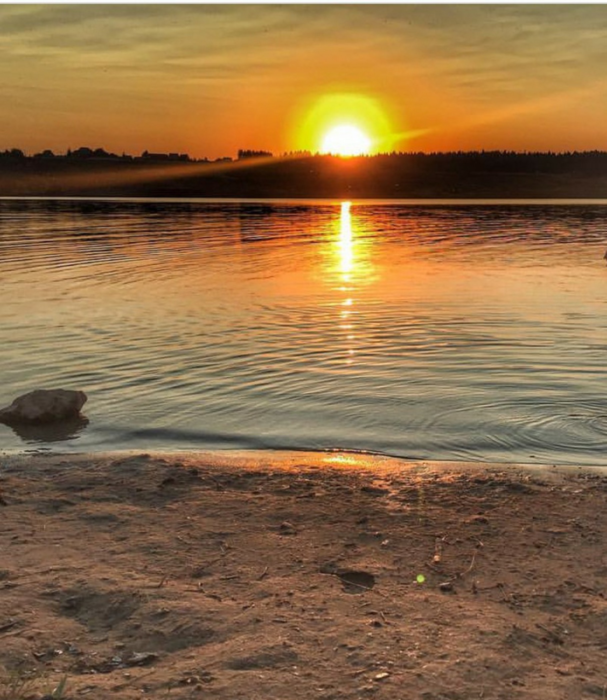 Фото Green Gold Park