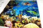 Masterskaya fotoplitki (Svobody Street, 35с7) ، بلاط سيراميك