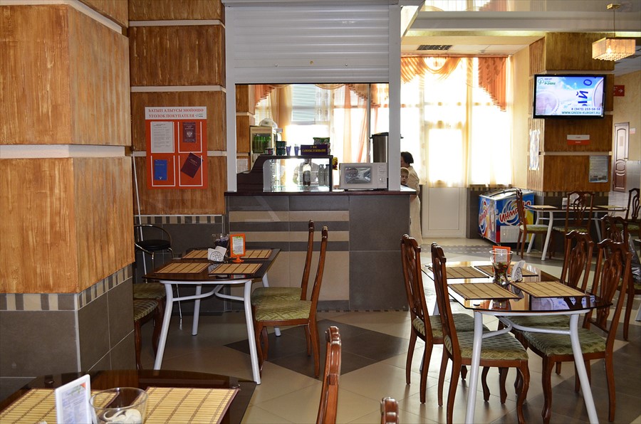 Фото Зеленая роща