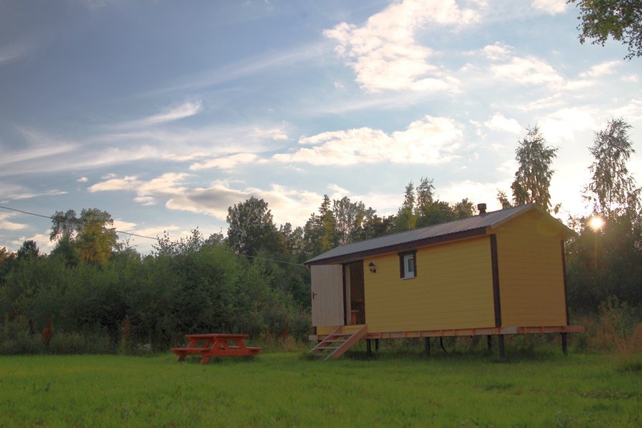 Фото Березки