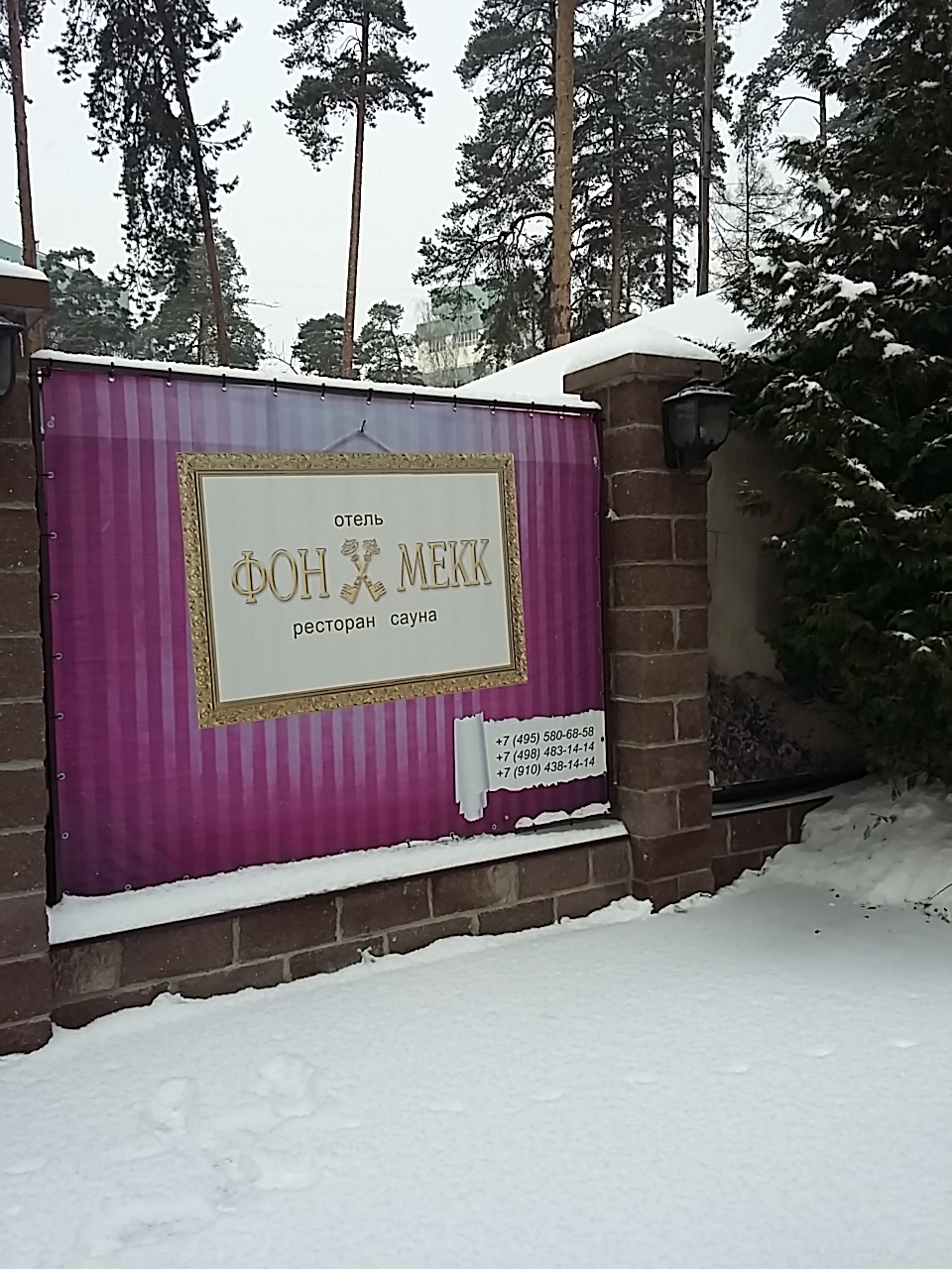 Фото Фон Мекк