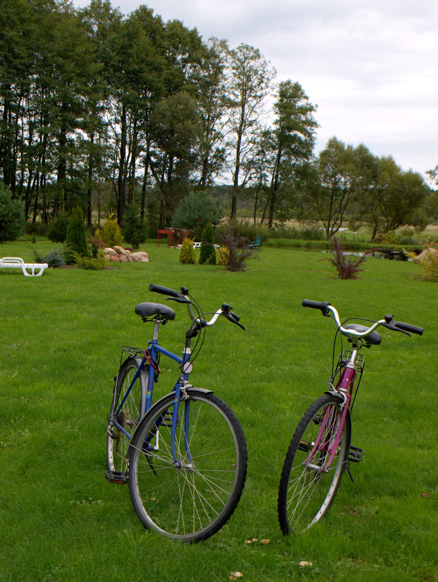 Фото Агроусадьба Мечта в Беловежской пуще