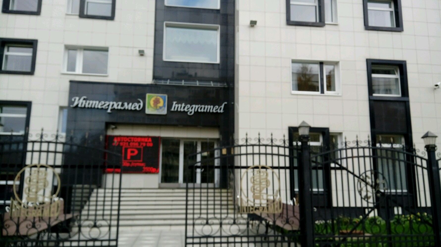 Фото Белое Дерево