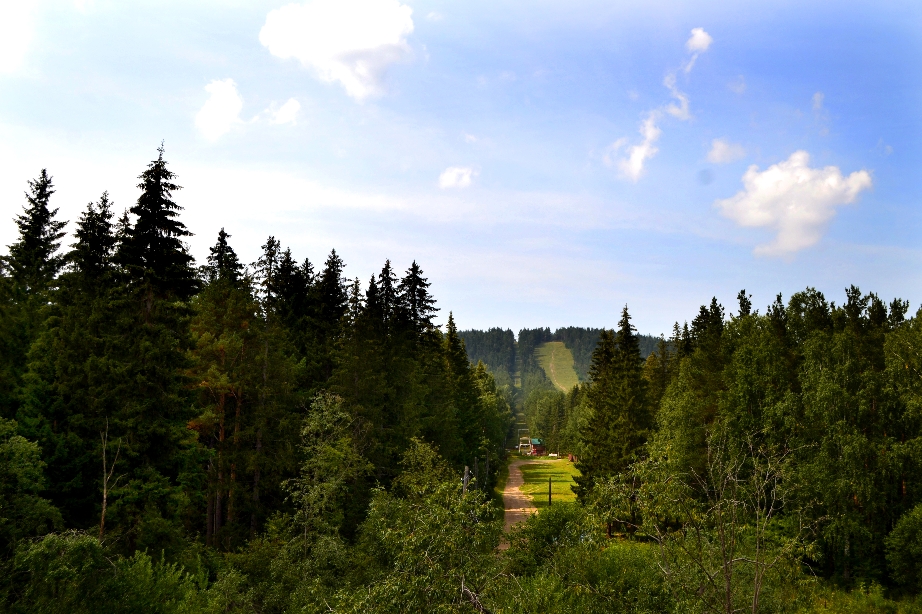 Фото Путешественник
