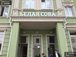 Travel agency Noviy bereg (Ostrovskogo Street, 102), travel agency