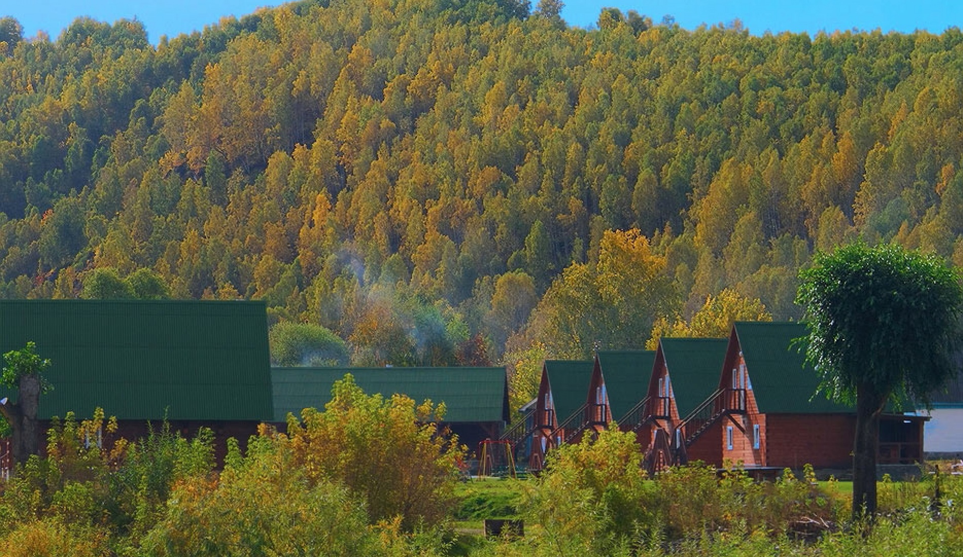 Фото Медвежий угол