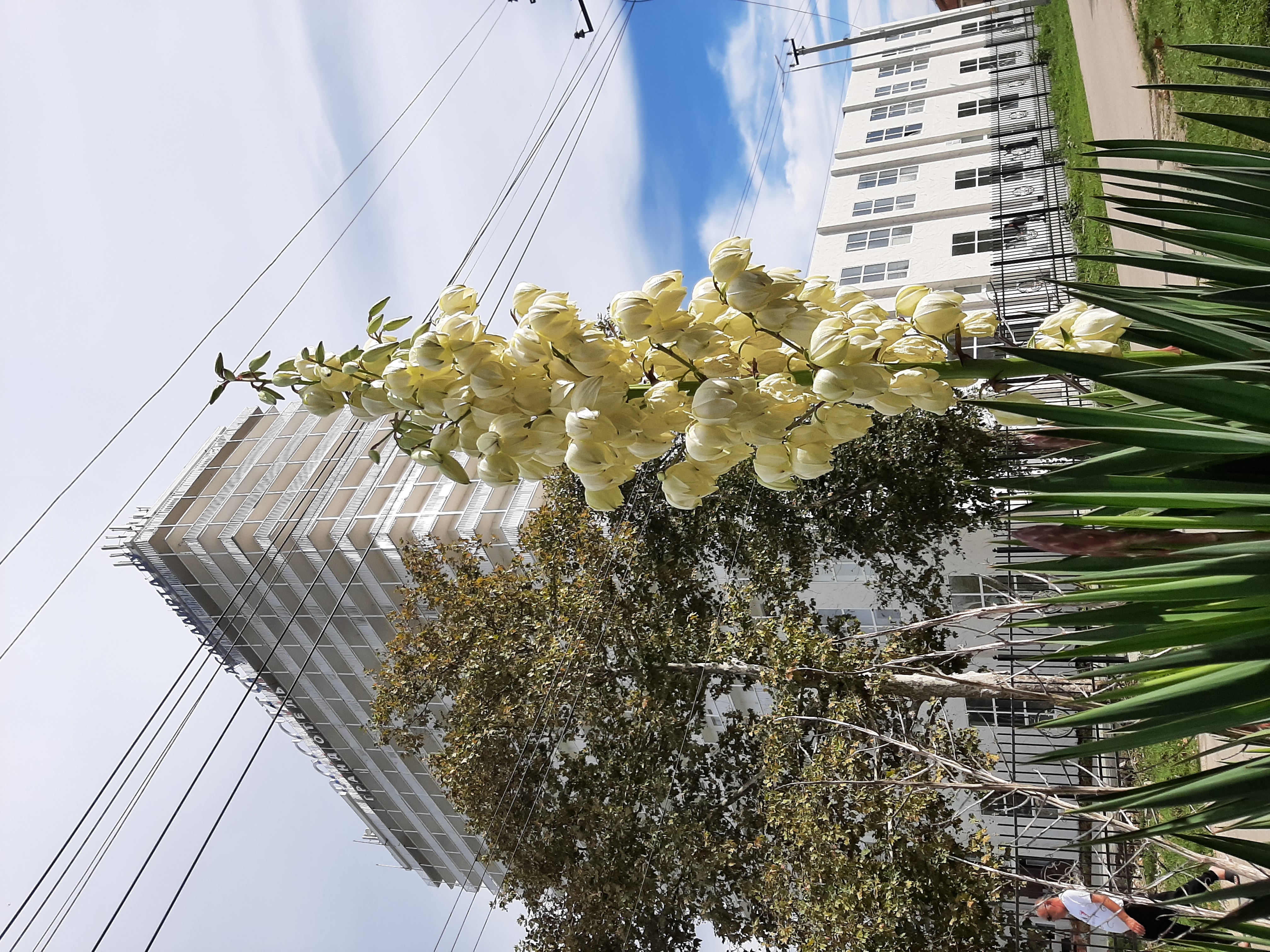 Фото Гранд-отель Россия