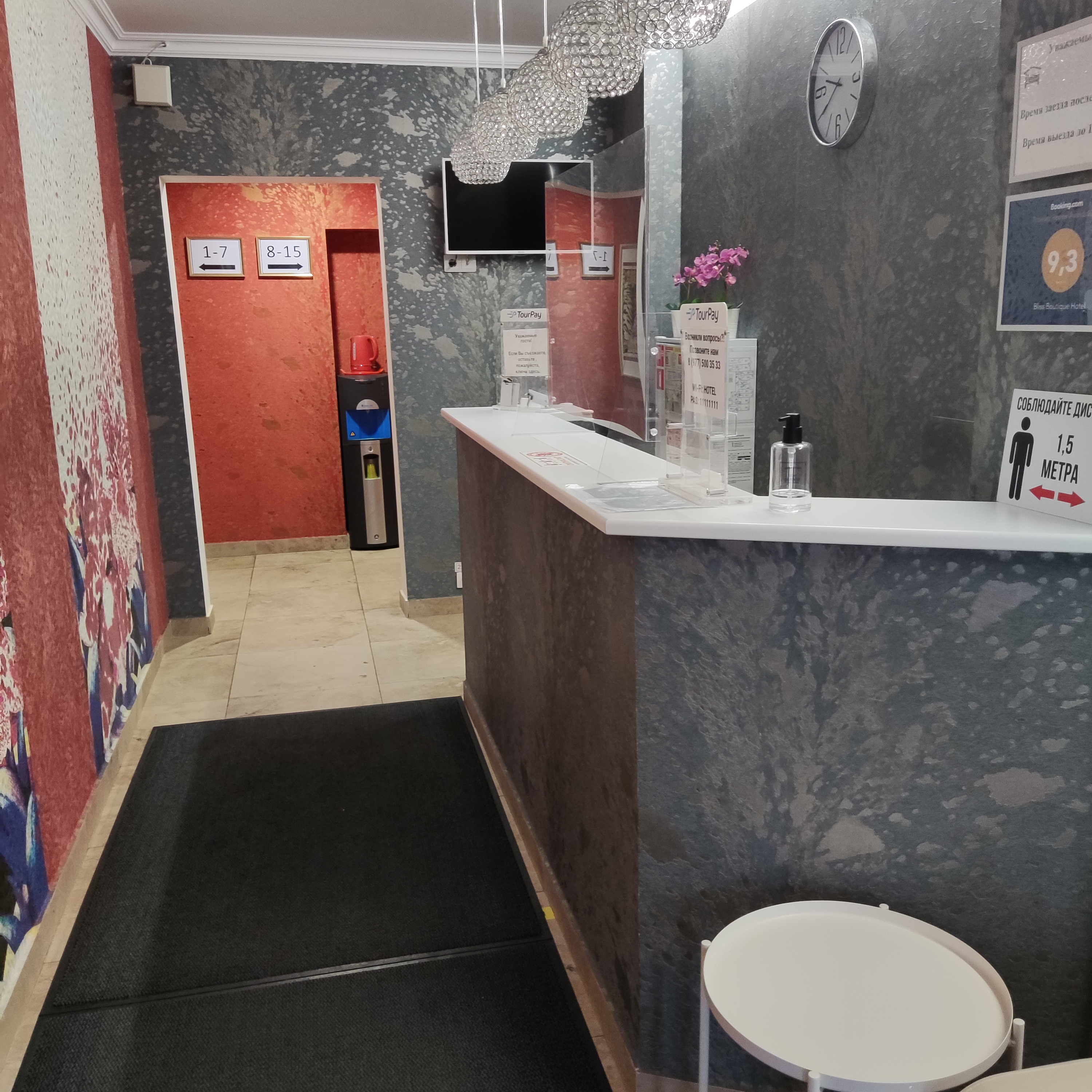 Фото Crocus Star