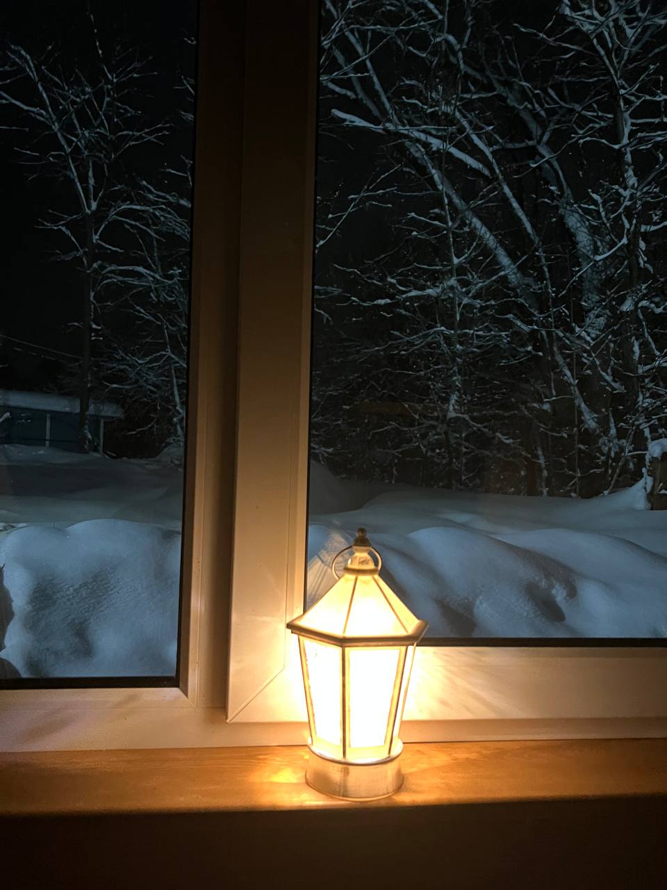 Фото Лес и Река