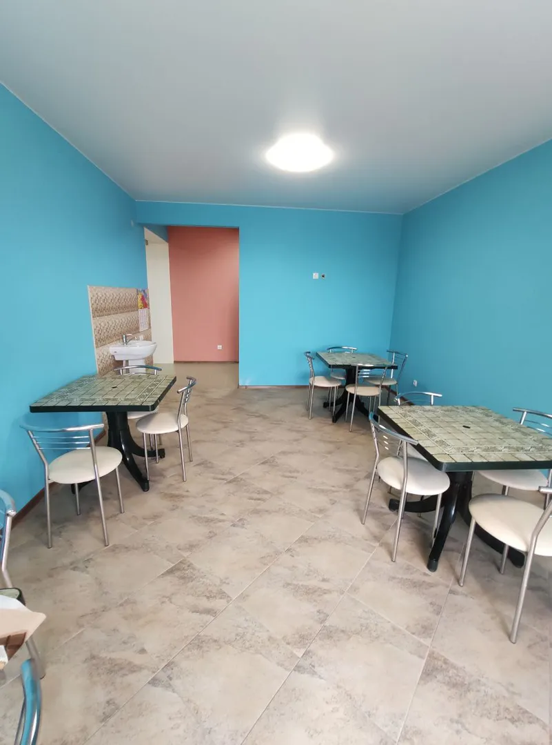 Фото Дельфин