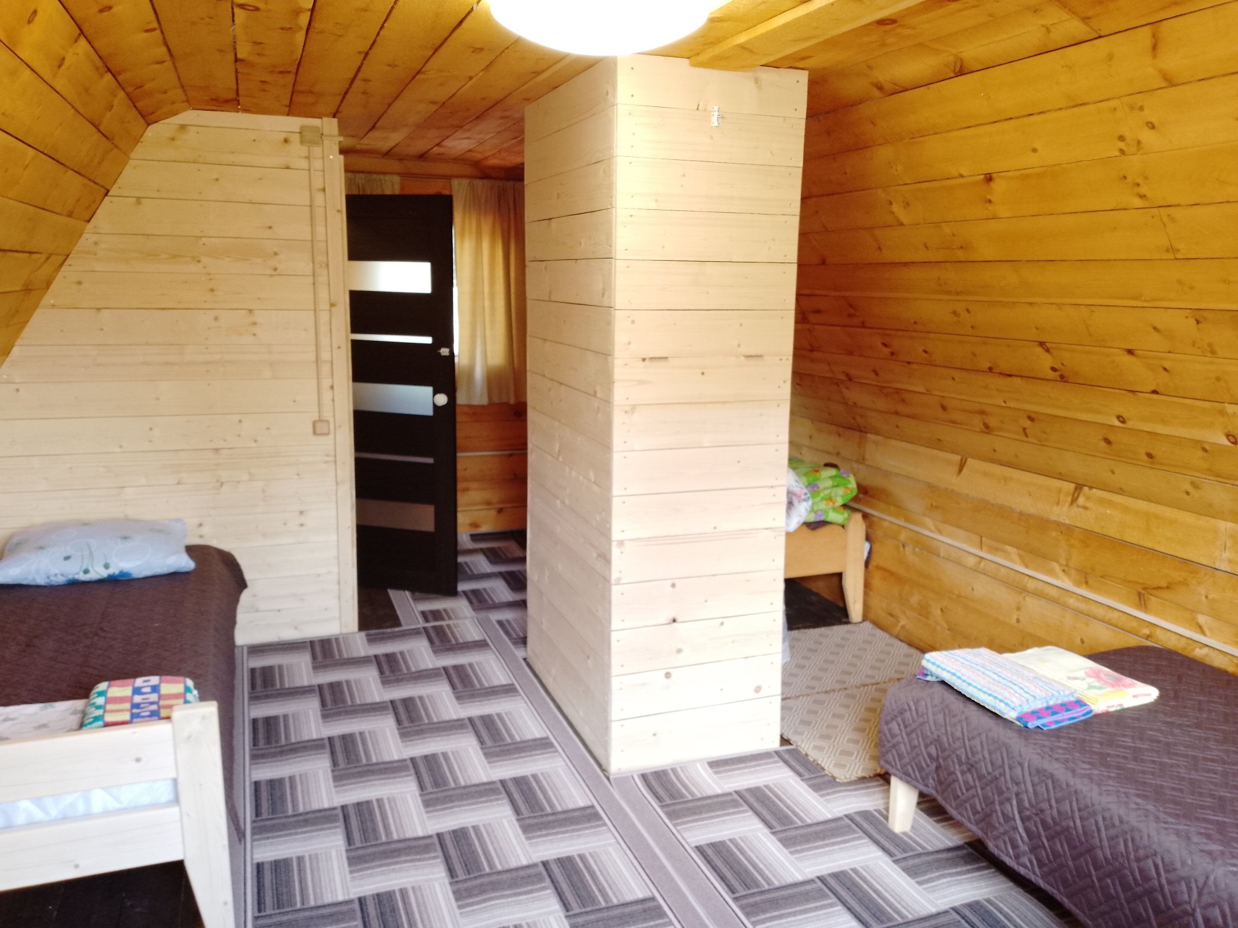 Фото Золотая рыбка