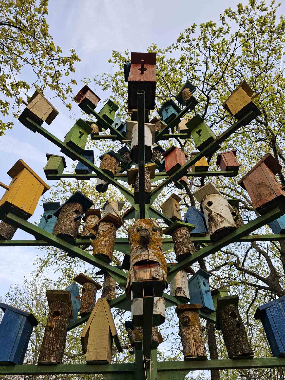 Фото Дубровский