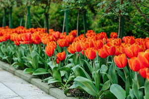 Южное взморье