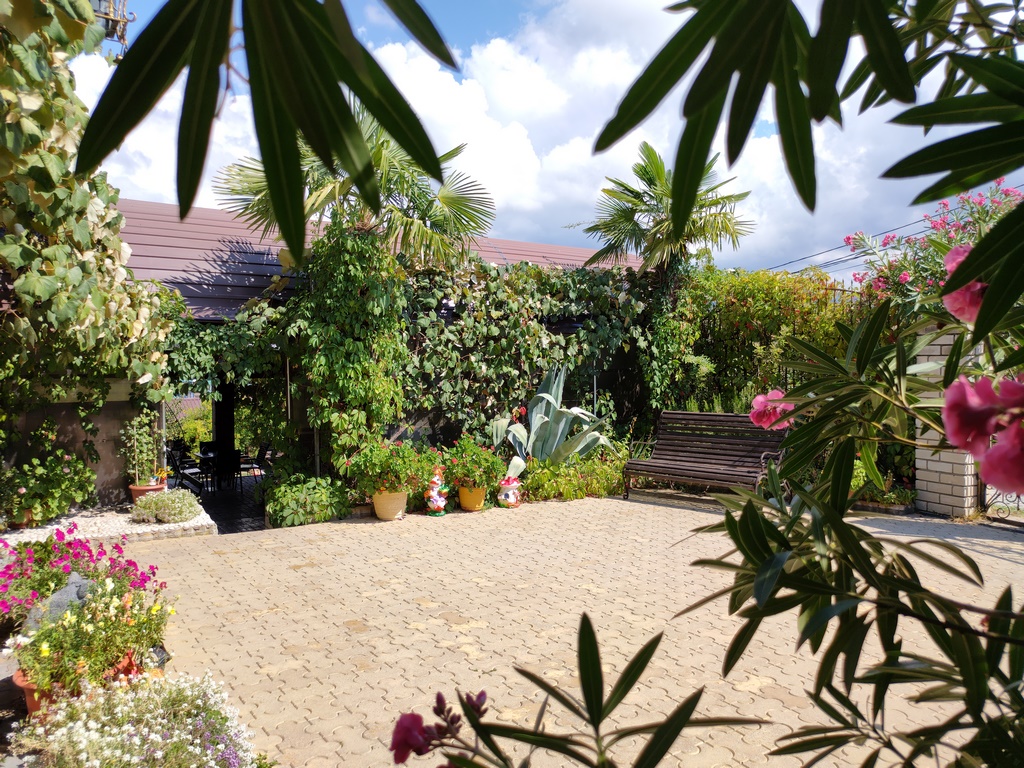 Фото Ласточкино Гнездо