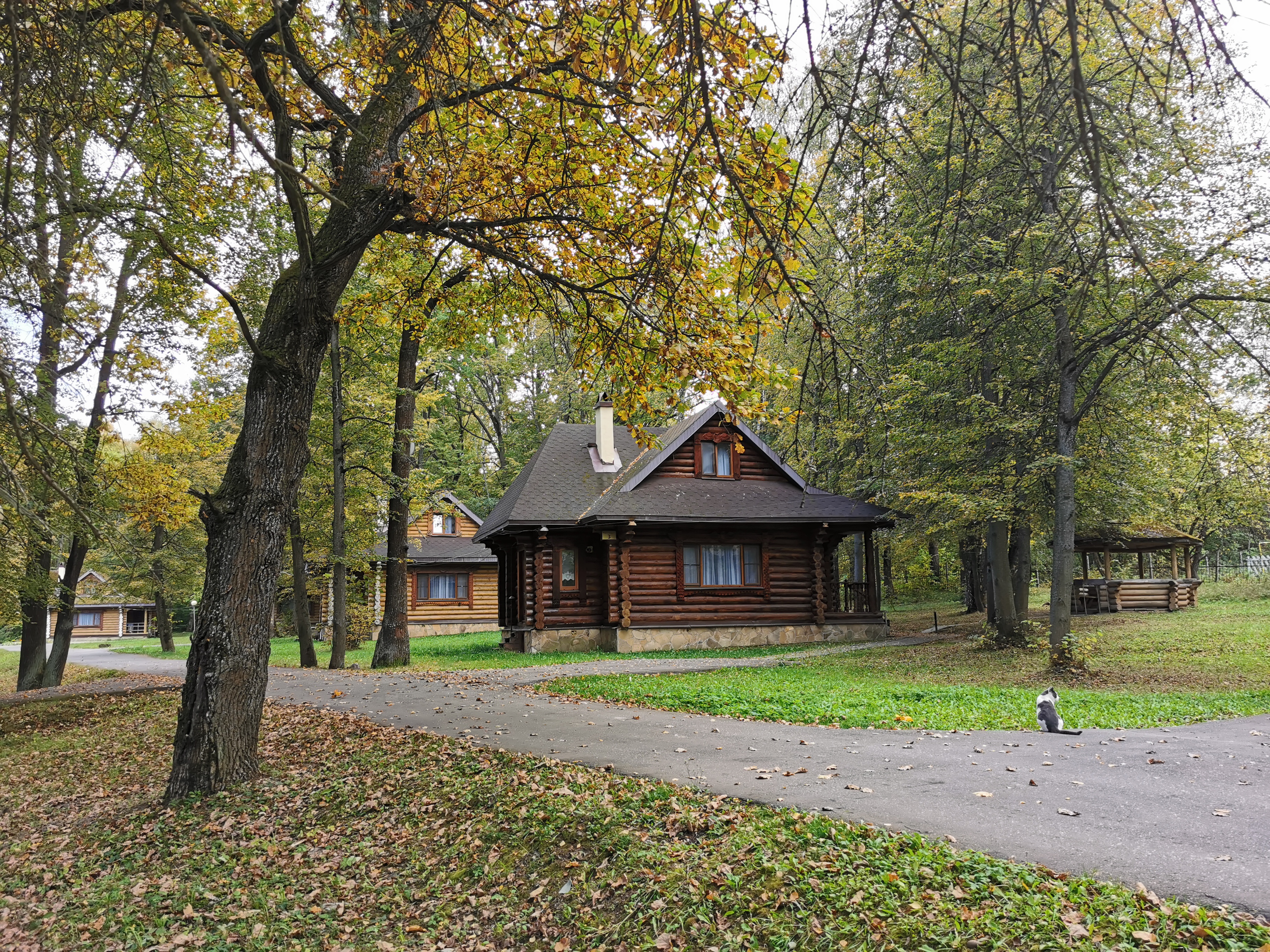 Фото Серебряный век