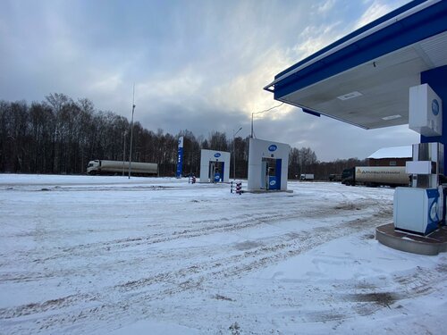 Gas station Опти, Chelyabinsk Oblast, photo