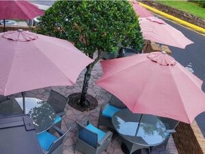 Гостиница Ramada by Wyndham Temple Terrace/Tampa North