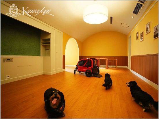 Фото Hotel Kawakyu