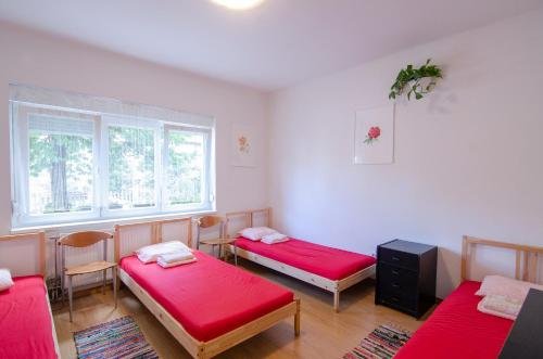 Фото Family Guesthouse GreenSLO